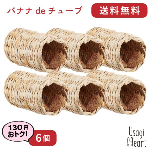 oiide`[u 6 RRibc@ۓ JC   ~jETM lU[hh[t z[hbv