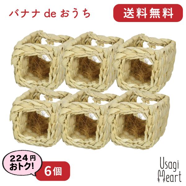 oiide 6 RRibc@ۓ JC   ~jETM lU[hh[t z[hbv