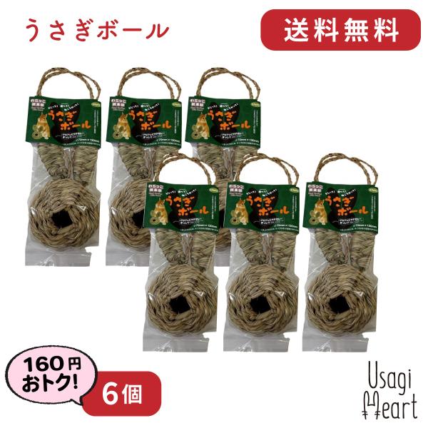 {[ 6 y JC   ~jETM lU[hh[t z[hbv