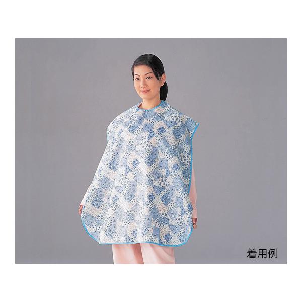 HHpGv u[ԕ }cnV  (0-5213-12)