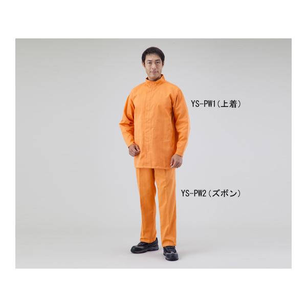 ϔMEϐؑnƕ L g YS-PW2L Y{  (1-2603-02)