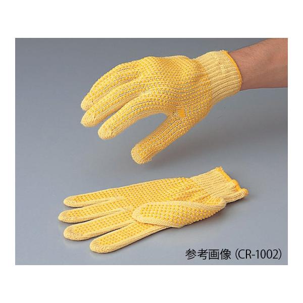 S Pv[ R  X^_[h^Cv AY CR-1001 (1-6924-01)