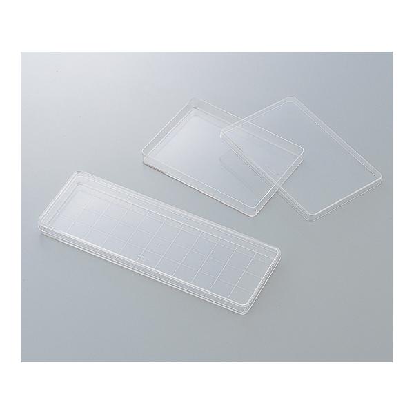 p^fBbV 235×85mm 10×10ܓ p1 (2-5316-01)