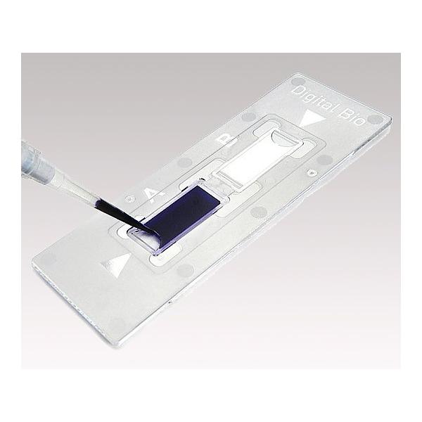 fBX|זEvZ C-Chip rP`N^ 1 50 DHC-B02 (2-7732-23)