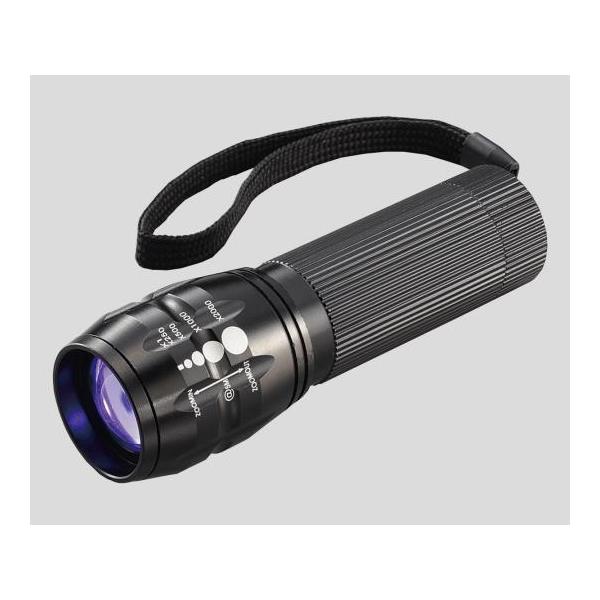 Cg BL-8402 (2-9335-01)