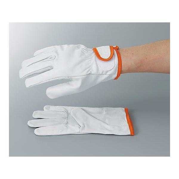 {v L CG-723 (3-1888-02)