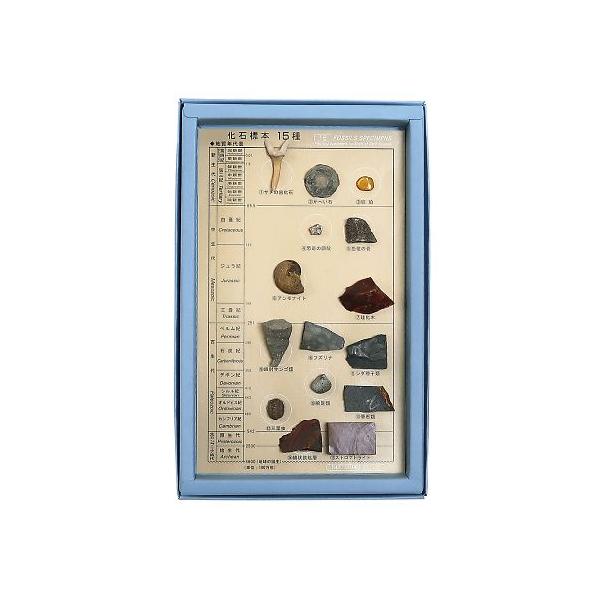 ���ΕW�{ ���ΕW�{15�� �����T�C�G���X  (3-654-04) ���i�摜