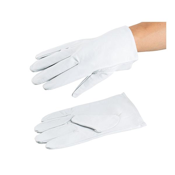 AYc[ؕ\v NXg AY AT-LG02-P (3-8168-01)