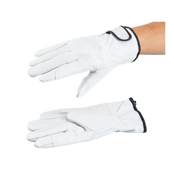 AYc[ؖʃt@Xi[ NXg AY AT-LG01-P (3-8223-01)