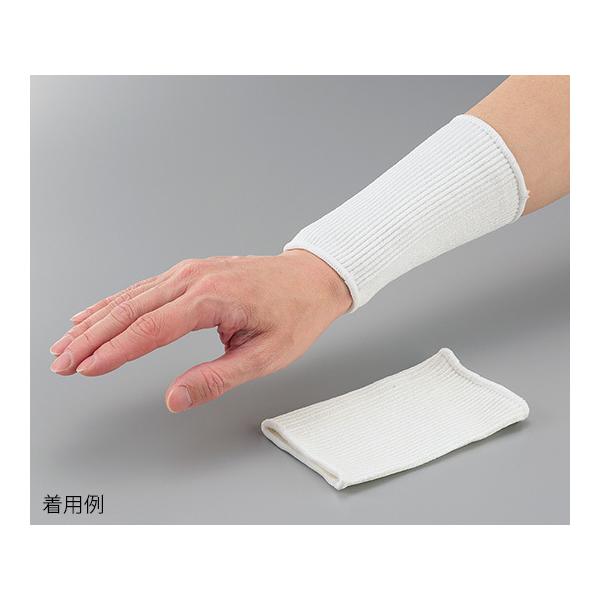 AYsAϐؑnXgoh M 10o AY DM150 ܔ̔  (4-1080-52)