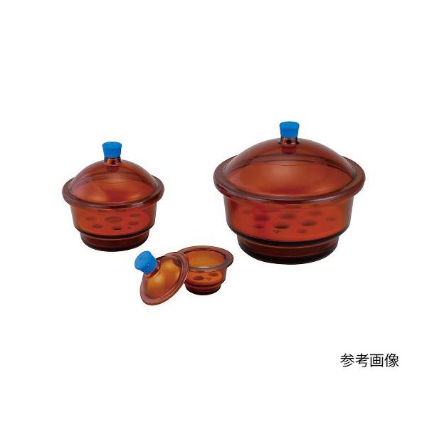 ガラス製 乾燥容器 デシケーター 小 15cm 51kfcmsp7ZL._UF1000,1000_QL80_.jpg