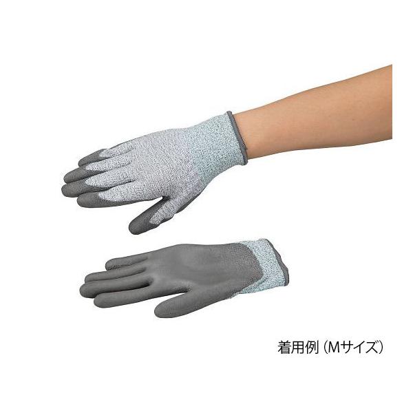 AYc[ϐؑn x5ER[gL  MTCY AY  (4-3163-03)