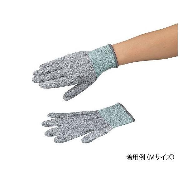 AYc[ϐؑn x5ER[g  MTCY AY  (4-3164-03)