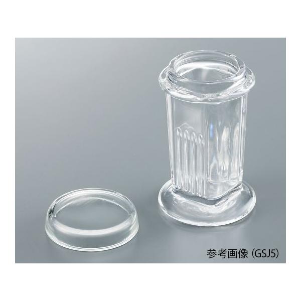 Fobg c^5p AY GSJ5 (4-567-01)