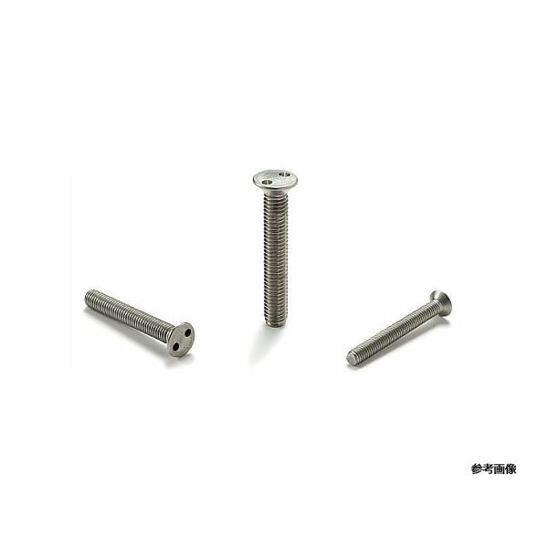 ネジコム いたずら防止ねじ ツーホール皿小ねじ SRTFS ネジ 10P/PAC 1袋 10個入 SRTFS-M5-25 (54-8967-77)