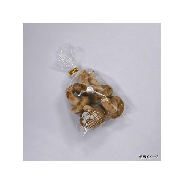 鮮度保持袋 オーラパック8号規格品 1袋 100枚入 ベルグリーンワイズ 2380 (54-9454-51)