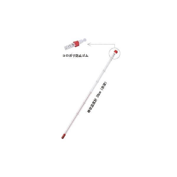 ԉt_󉷓xv 0`{200 XChpbN vʊ퐻쏊 0290-10 (61-0097-06)