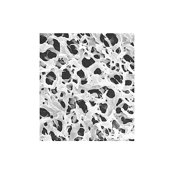 Merck Isopore disc PC philic 10m 47mm wh pln 100/Pk 100PK TCTP04700 (61-0201-69)