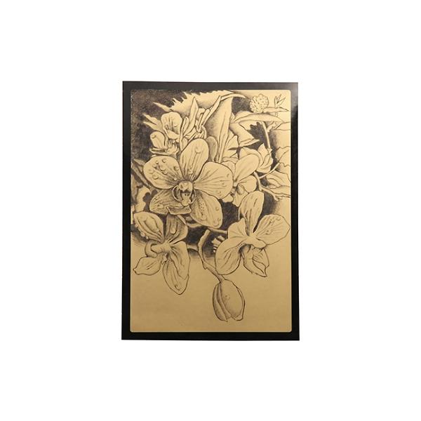 アーテック 黒色ベース スクラッチボードゴールド215×315mm 13123 (61 