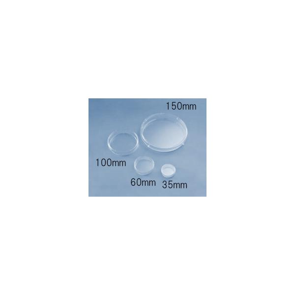 fBbV VזEp 100mm 300 AGCeNmOXEIWAKI 1020-100 (61-9712-59)