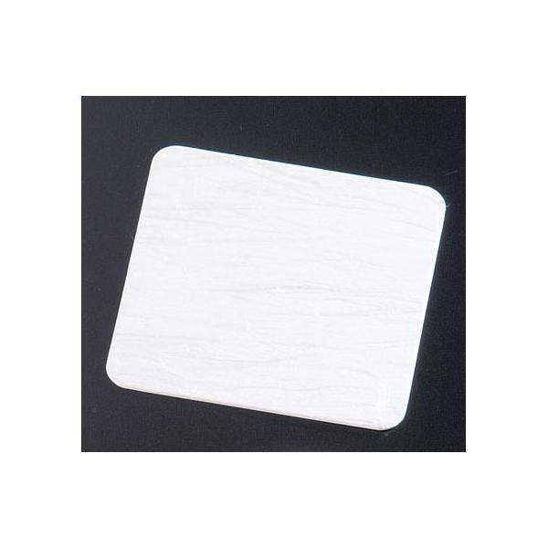 aR[X^[ p 100 A[gibv  (62-6767-04)