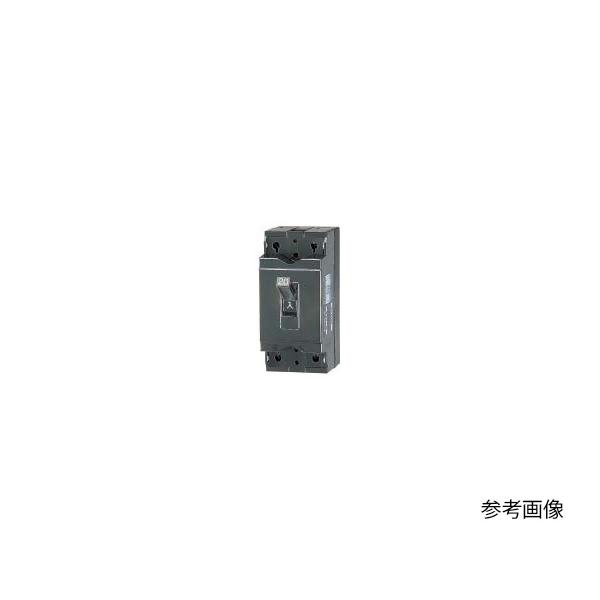安全ブレーカ テンパール工業 B-2EA 15A (63-6341-07)