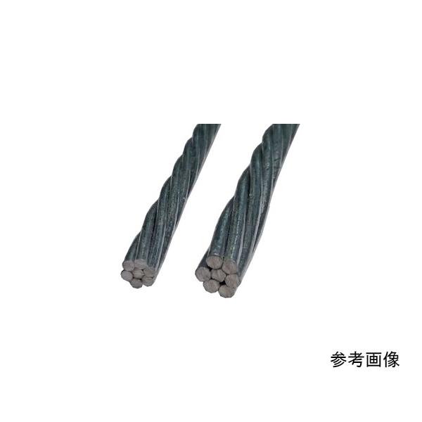 メッセンジャーワイヤー 亜鉛めっき鋼より線 30m JAPPY JMS 530 (64-6384-42)