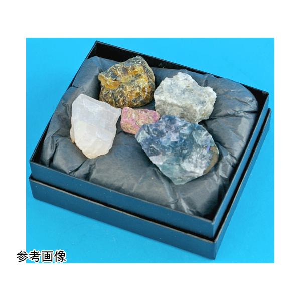 うぃるそん 鉱物セット Amazon.co.jp: GARVALON 教育用鉱物標本セット 20個 天然鉱石 石