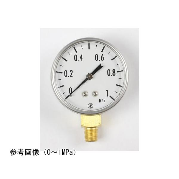 長野計器 小型圧力計 50Φ 0.2MPa GK20-261 (65-4316-77) : A1ショップ