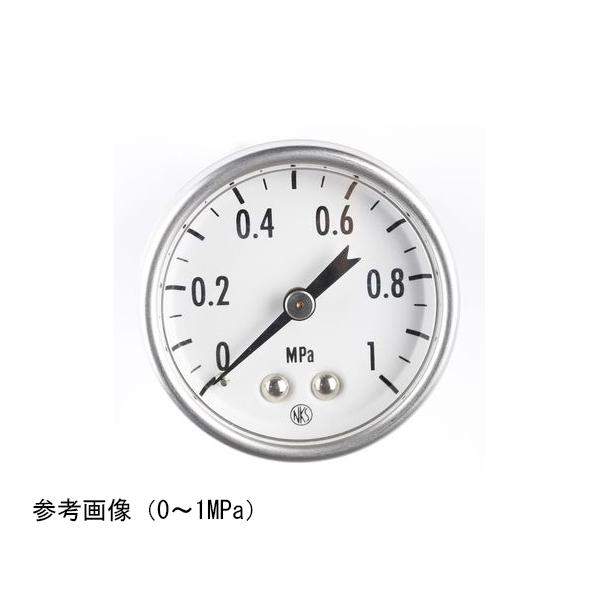 長野計器 小型圧力計 40Φ 1.5MPa GK25-161 (65-4316-93) : A1ショップ