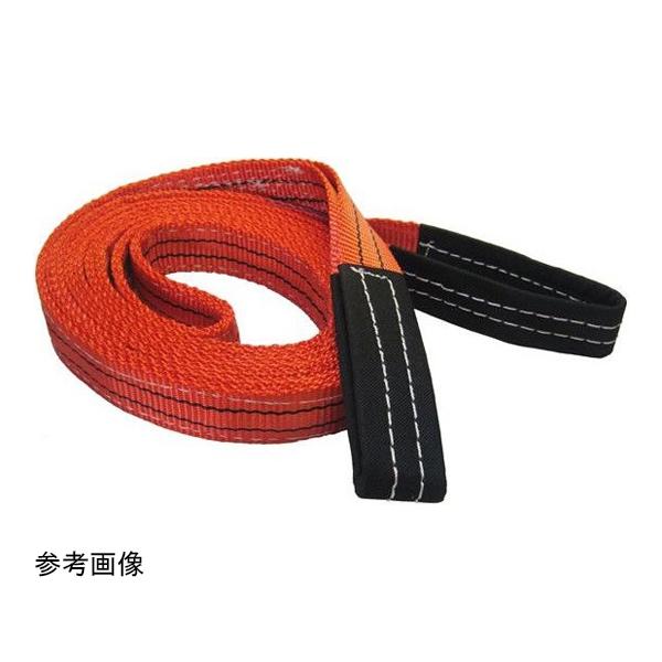他サイト： CEベルトスリングE型 使用荷重1200kg 幅35mm 長さ1m フリーク 65600 (65-6905-09)の商品画像