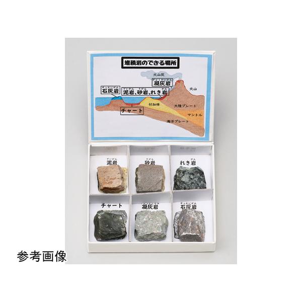 �~�j�W�{�V���[�Y �͐ϊ�6��Z�b�g ��]���H��  (67-8047-13) ���i�摜