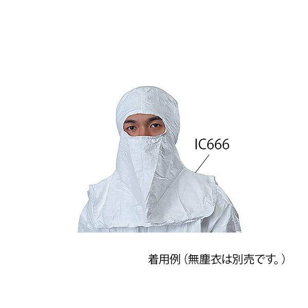 f|TM^CxbNTMAC\N[TMt[hI[vtFCX 1 f| IC668 (7-030-16)