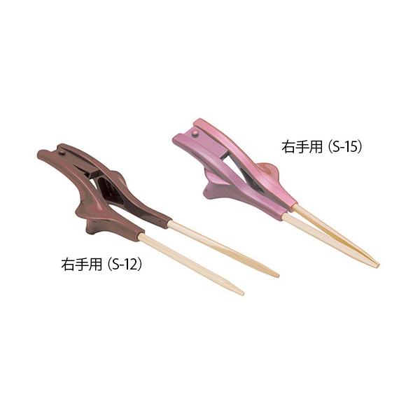 NA H F p ECh S-13 (7-1559-12)