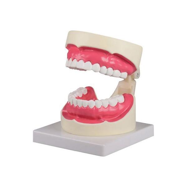 w͌^ 100×140×90mm Erler-Zimmer D217 (7-743-01)