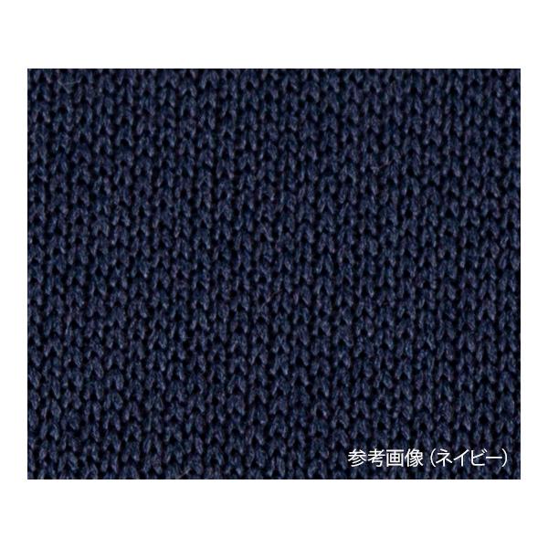 }bgXhJo[ lCr[ AY NS-CN (7-7515-01)