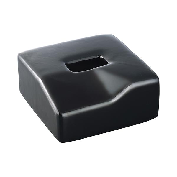 p hdl AY ES-P (7-7671-01)