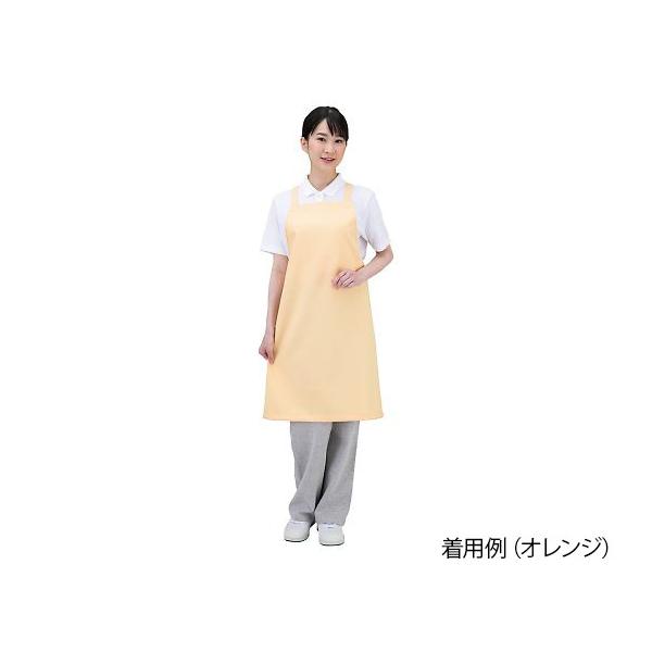 RECXGv Dr.EarthTM | A[Xu[ RE E3500-1T (7-780-02)