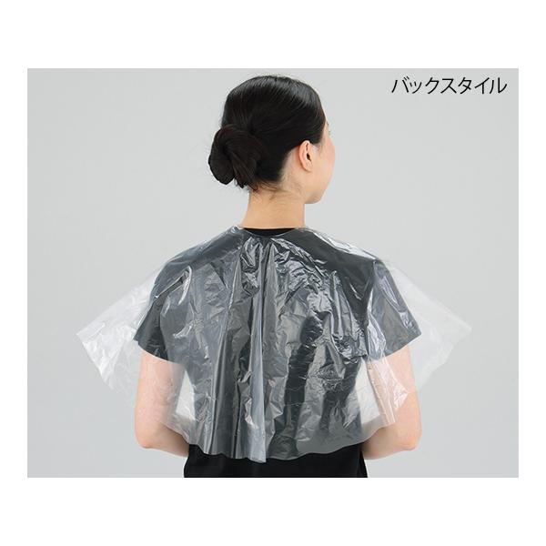 fBX|P[v 50 AY T-DS (7-8011-01)