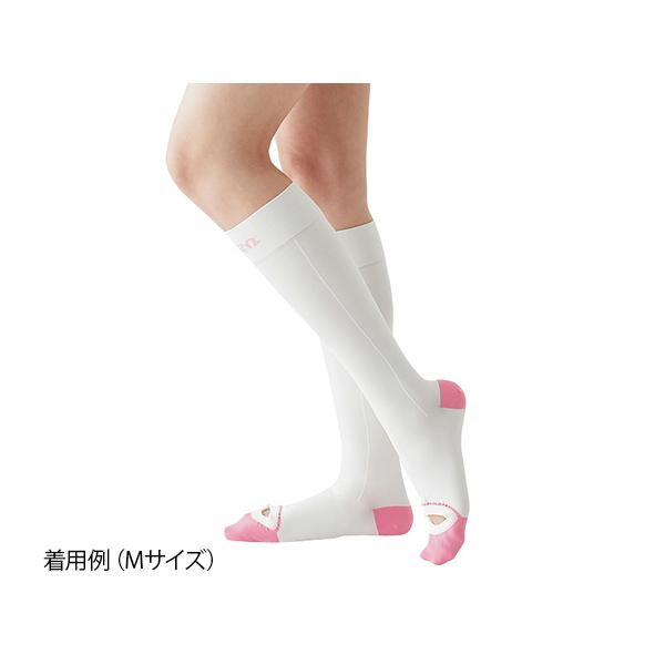 AVNTMEvJ L[vPA nC\bNX M APA 20303 Ë@F؎擾 (7-8295-03)