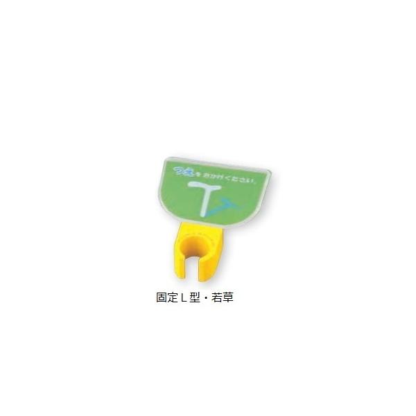 z_[ ف` ŒL^^Cv ᑐ GYWp  (8-1981-29)