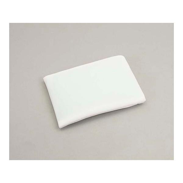 vVFA炩ۗ▍p Jo[ ~jp AY  (8-2598-11)