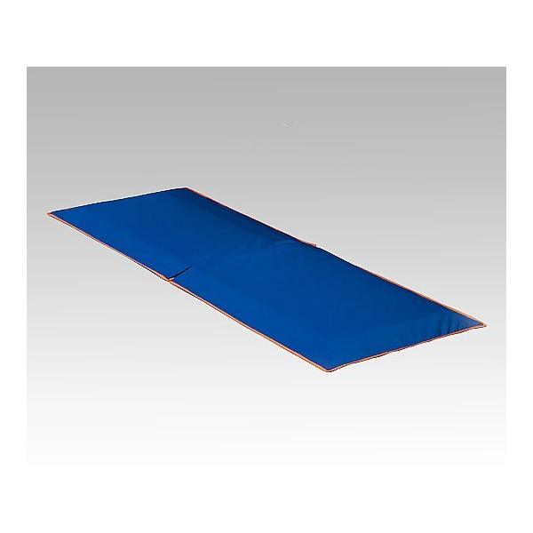 Ռz}bg nri[X 650×1800×40mm 205300AC (8-2965-01)