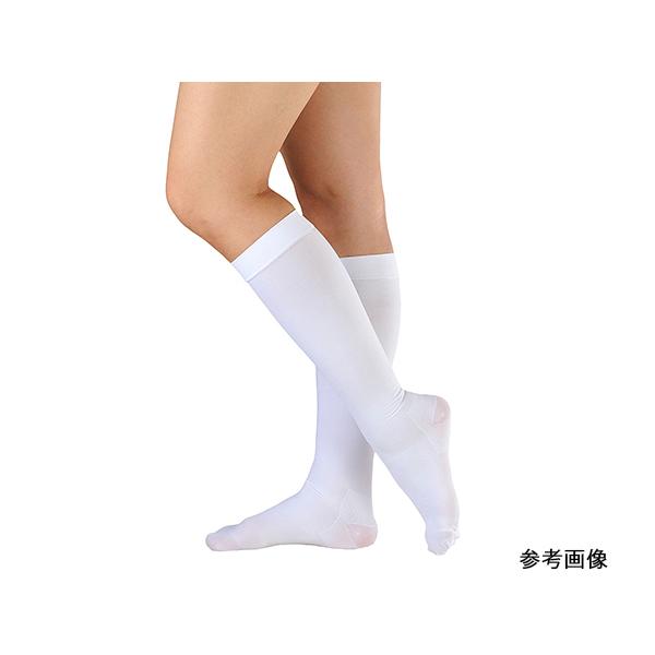 AVNTMEvJ nC\bNX  S APA 17424 Ë@F؎擾 (8-3609-02)