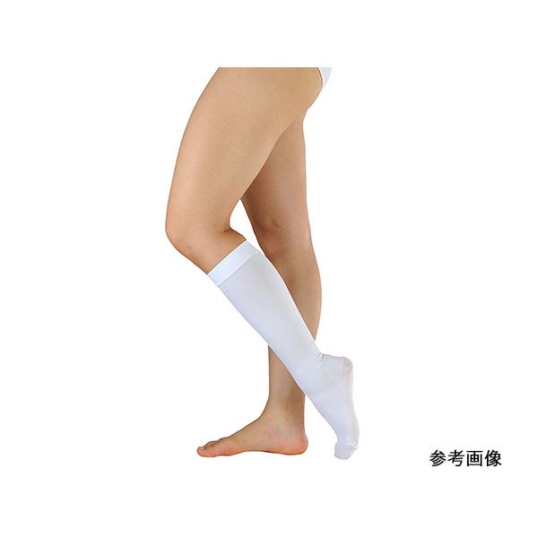 AVNTMEvJ nC\bNX Б M APA 17573 Ë@F؎擾 (8-3609-08)