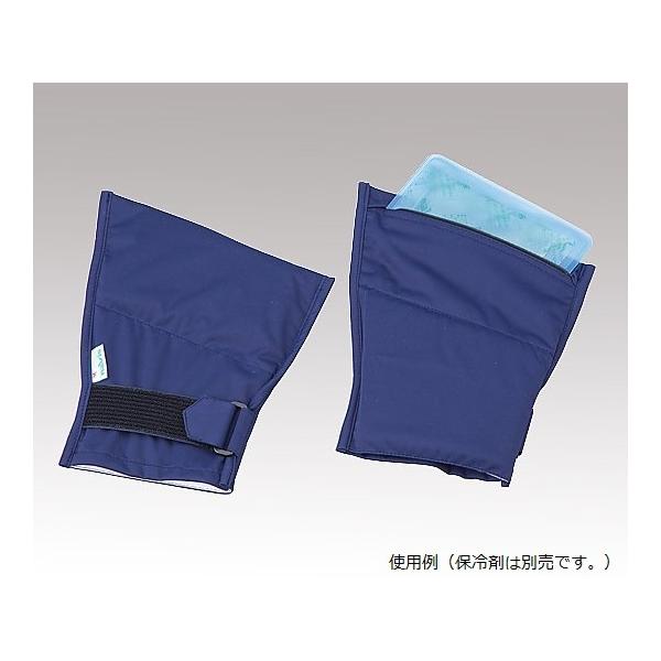 ●<商品詳細参考ページ>外部リンク：https://axel.as-1.co.jp/asone/d/8-3960-01/●材質：ナイロン100％●保冷剤収納数：各1個●洗濯方法：手洗い（30℃）／乾燥機不可●縦×横（mm）：24...