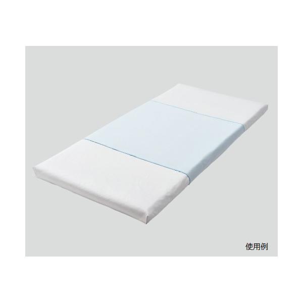 TThCPAhV[c pEz QS-3000 (8-6607-01)