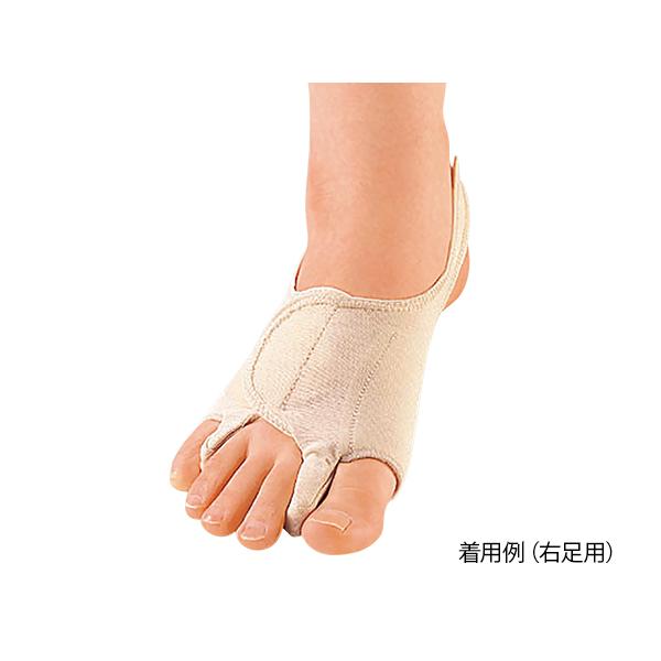 OET|[^[m\{Œ^n EpM 23.5`25.0cm 63386 (8-7131-04)