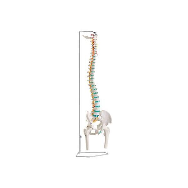 Ғŉ^f 850mm Erler-Zimmer A251 (8-8419-02)
