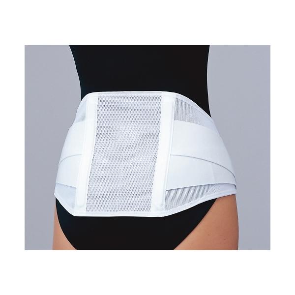 他サイト： マックスベルト me2 L シグマックス 322203 (8-8822-04)の商品画像